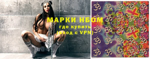 бошки Бронницы