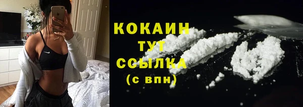 бошки Бронницы