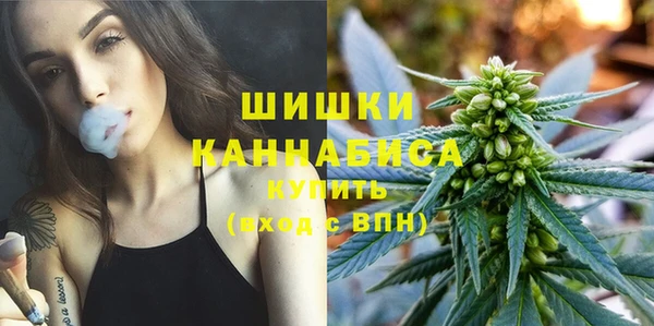 марки lsd Бородино